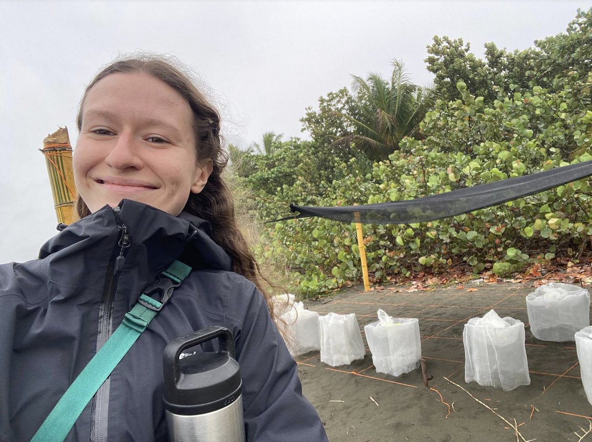 <a href="/EllieWeir9/">Ellie Weir</a> and team have translocated leatherback turtle nests to the hatchery <a href="/PacuareReserve/">Pacuare Reserve</a>...getting ready to assign treatments to improve hatching success based on last year's data!!! Cheering from #OceanConservationLab <a href="/UVicScience/">UVic Science</a> @WomeninSciUVic <a href="/UVicResearch/">UVic Research</a> 

Happy 👇