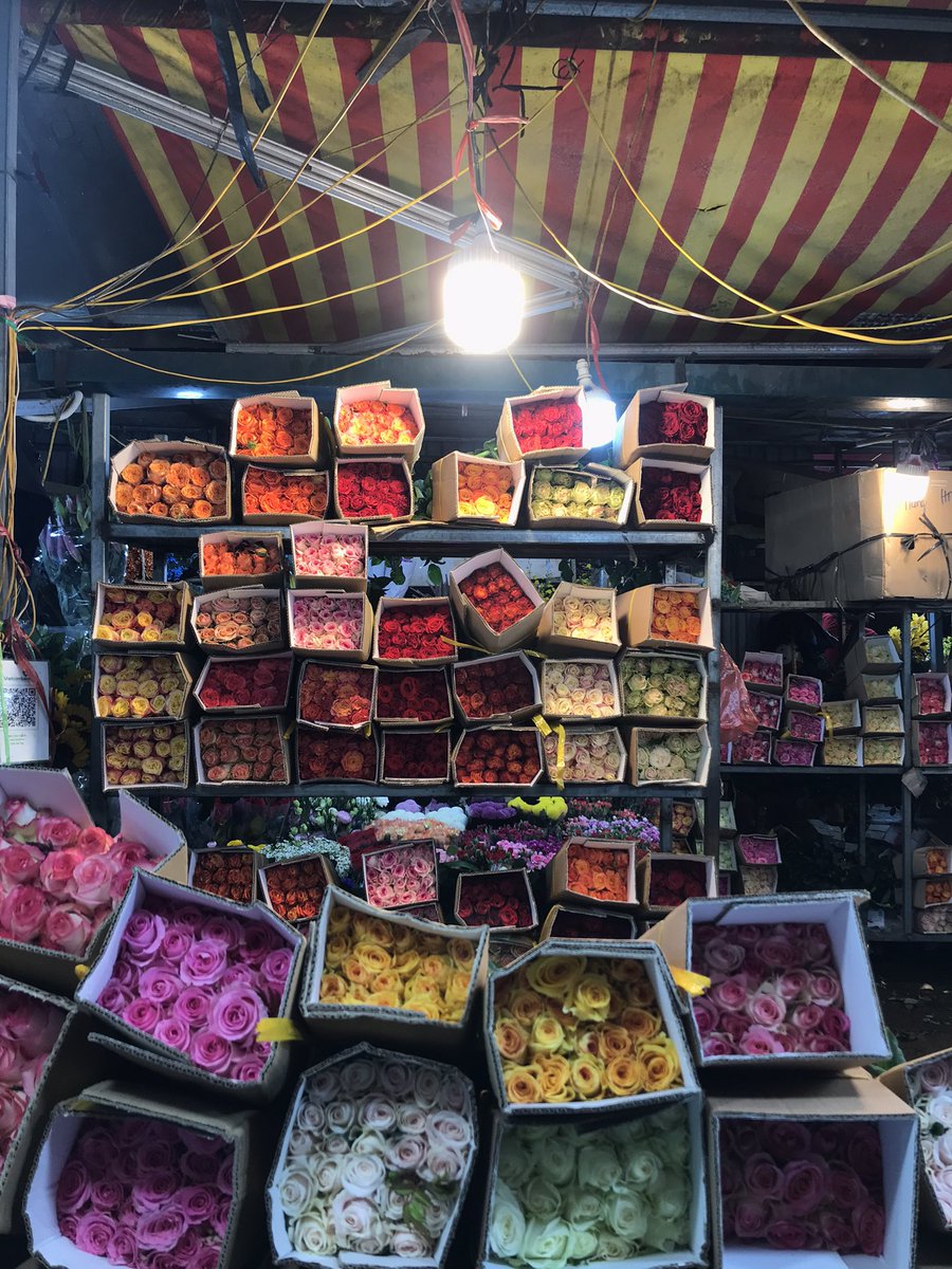 No words.
I just want to share with you the beauty of flowers

🌹