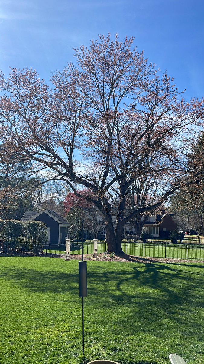 Just a Splash -🐝 Kind! tweet media