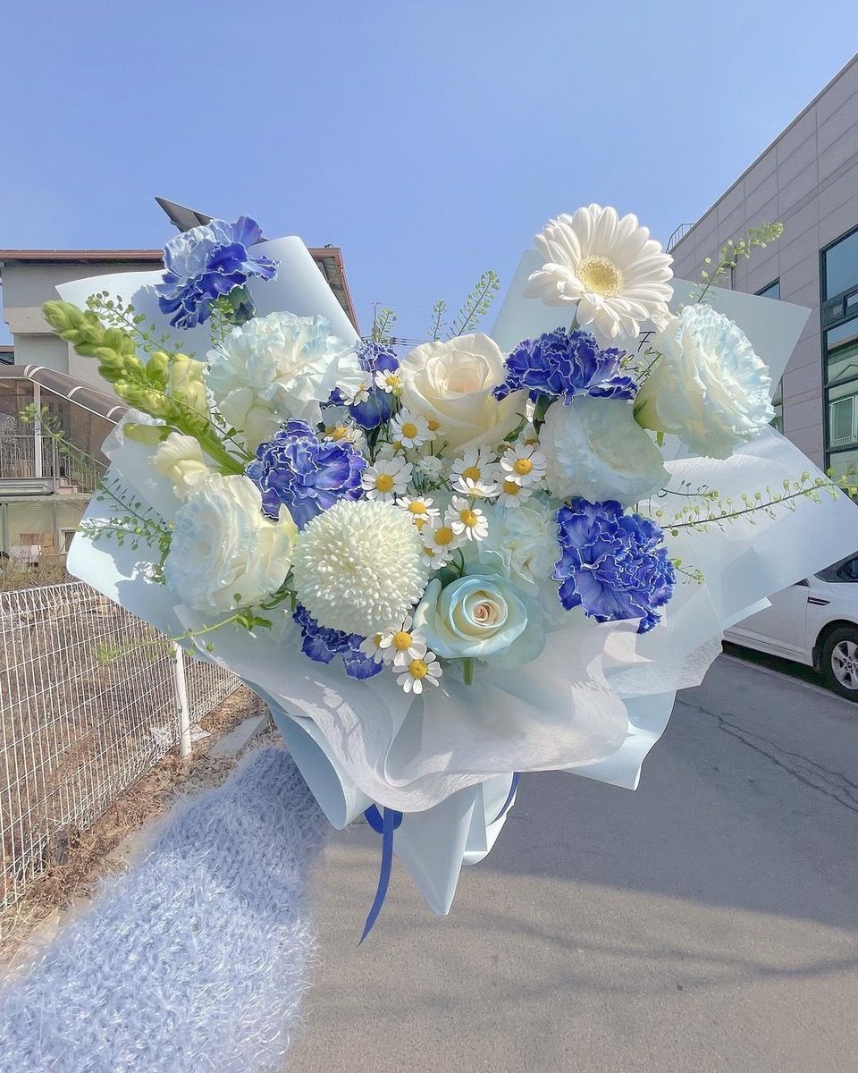 Flowersnblooms's tweet photo. 💙🤍 https://t.co/bUmwuOx9bY