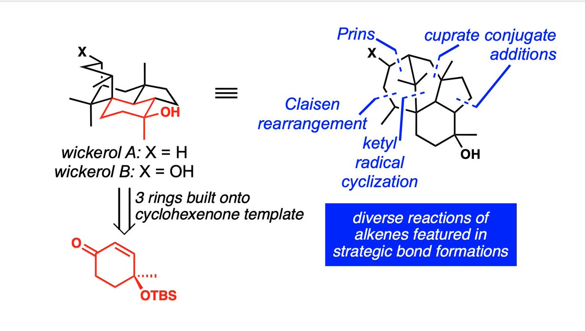 Vanderwal Lab (@thevanderwallab) on Twitter photo Our enantioselective syntheses of Wickerols A & B is out now in <a href="/J_A_C_S/">J. Am. Chem. Soc.</a>! Several generations of group members moved mountains to make this possible: @Jonatha17807916, <a href="/JosephCapaniJr/">Joseph Capani</a>, Matthias Göhl, and Philipp Roosen - congratulations! Get the scoop at:
pubs.acs.org/doi/10.1021/ja… Our enantioselective syntheses of Wickerols A & B is out now in <a href="/J_A_C_S/">J. Am. Chem. Soc.</a>! Several generations of group members moved mountains to make this possible: @Jonatha17807916, <a href="/JosephCapaniJr/">Joseph Capani</a>, Matthias Göhl, and Philipp Roosen - congratulations! Get the scoop at:
pubs.acs.org/doi/10.1021/ja…