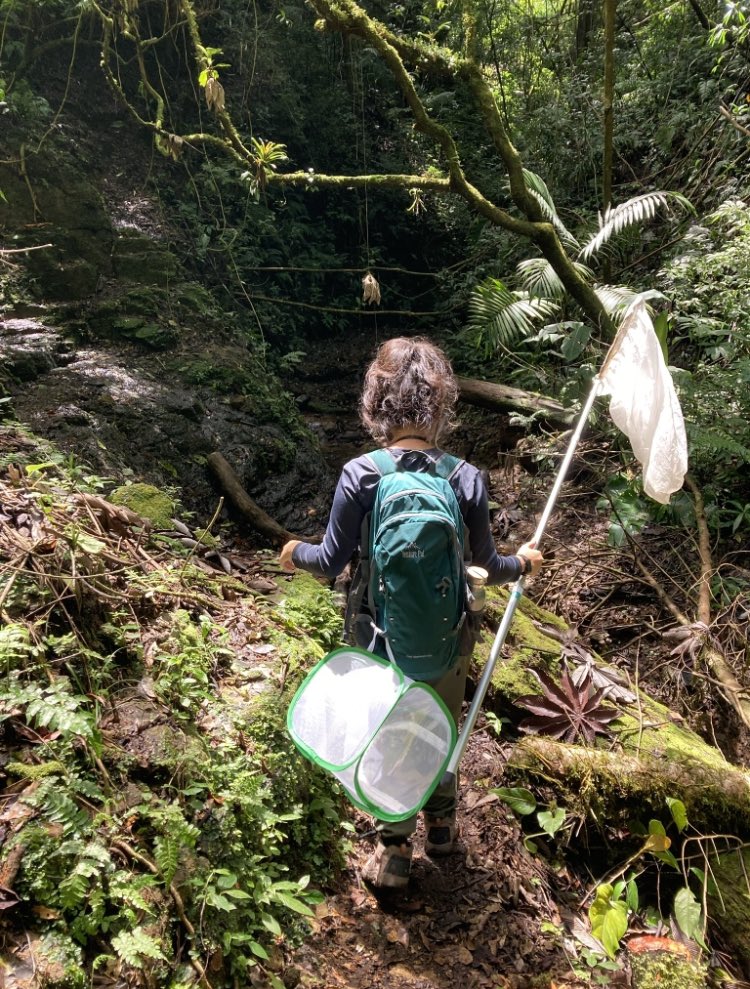 Amanda Markee tweet media