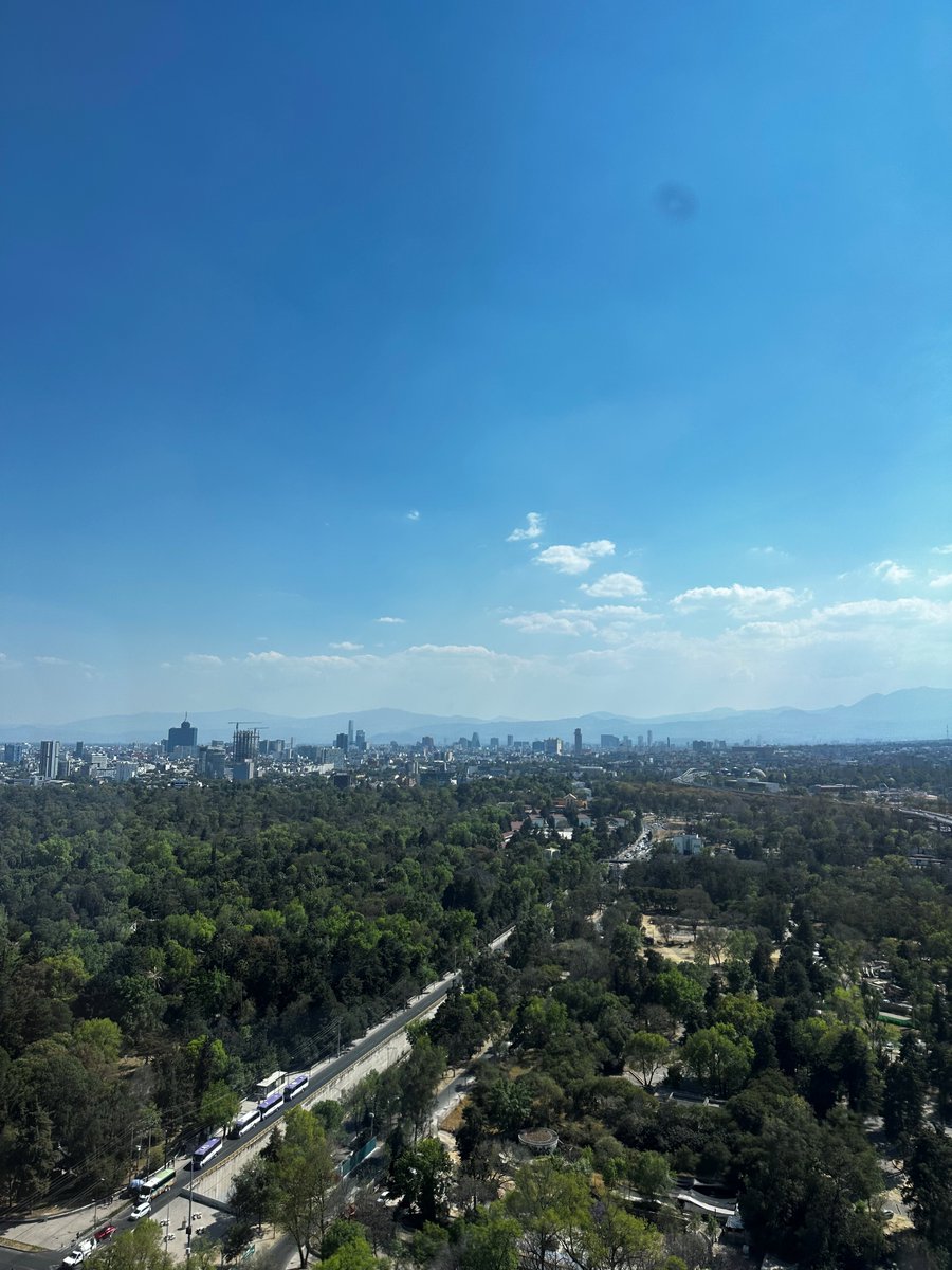 Felipe Marin tweet media