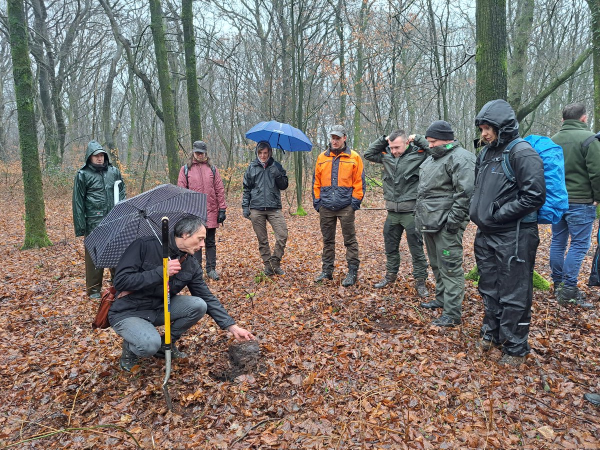 Dag 2 van onze #klimaatslim #bosbeheer cursus ging over #groeiplaats! Met boeiende lezingen van Marleen Vos, David Borgman, Ellen Desie en Leon van den Berg over oa #bodem, #nutriënten, #bodembescherming en #rijkstrooisel <a href="/Bosgroepen/">Bosgroepen</a> <a href="/staatsbosbeheer/">Staatsbosbeheer</a>
