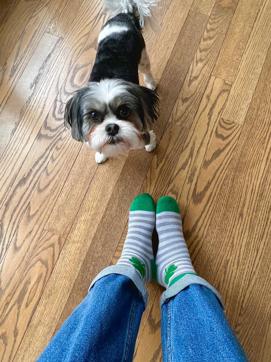 Got my lucky exam socks on for #worldkidneyday 🍀❤️! Rosie and I are ready to #sockittokidneydisease !