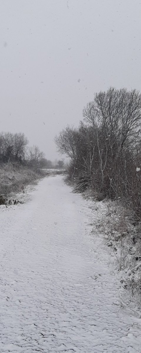 helmurray3's tweet photo. Day 68 ✅ a snowy walk ❄ #100daysofwalking https://t.co/vgsFKpNFj4