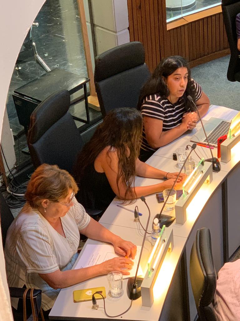 "El sistema capitalista actual sostiene su funcionamiento, también a partir del trabajo reproductivo que no se remunera, contribuyendo a la acumulación extraordinaria de unos pocos"