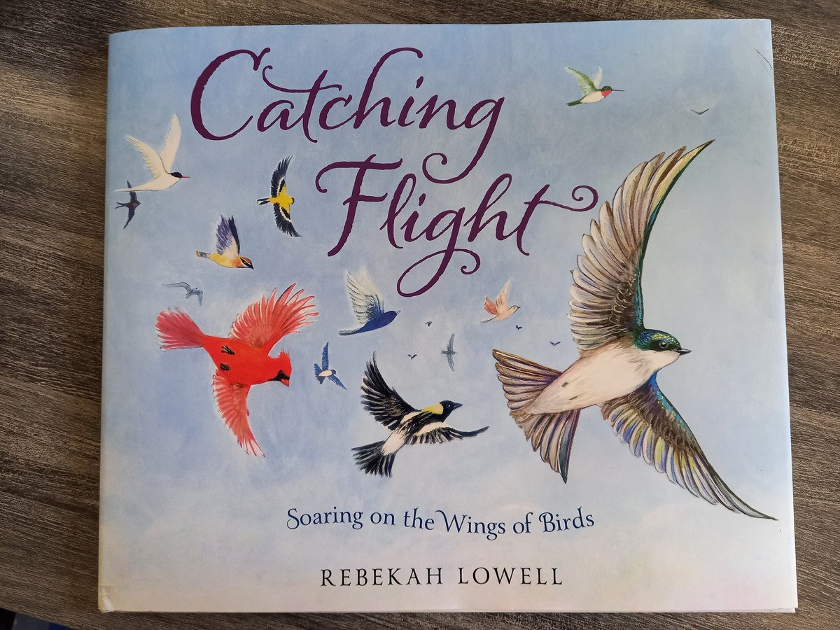 MrsCleaveley's tweet photo. Ooooh! Look what just arrived in the library!
So beautiful.
#welovebooks
#loveourlibrary
#librarytwitter
@RebekahLowell https://t.co/jSQ1XTARkI