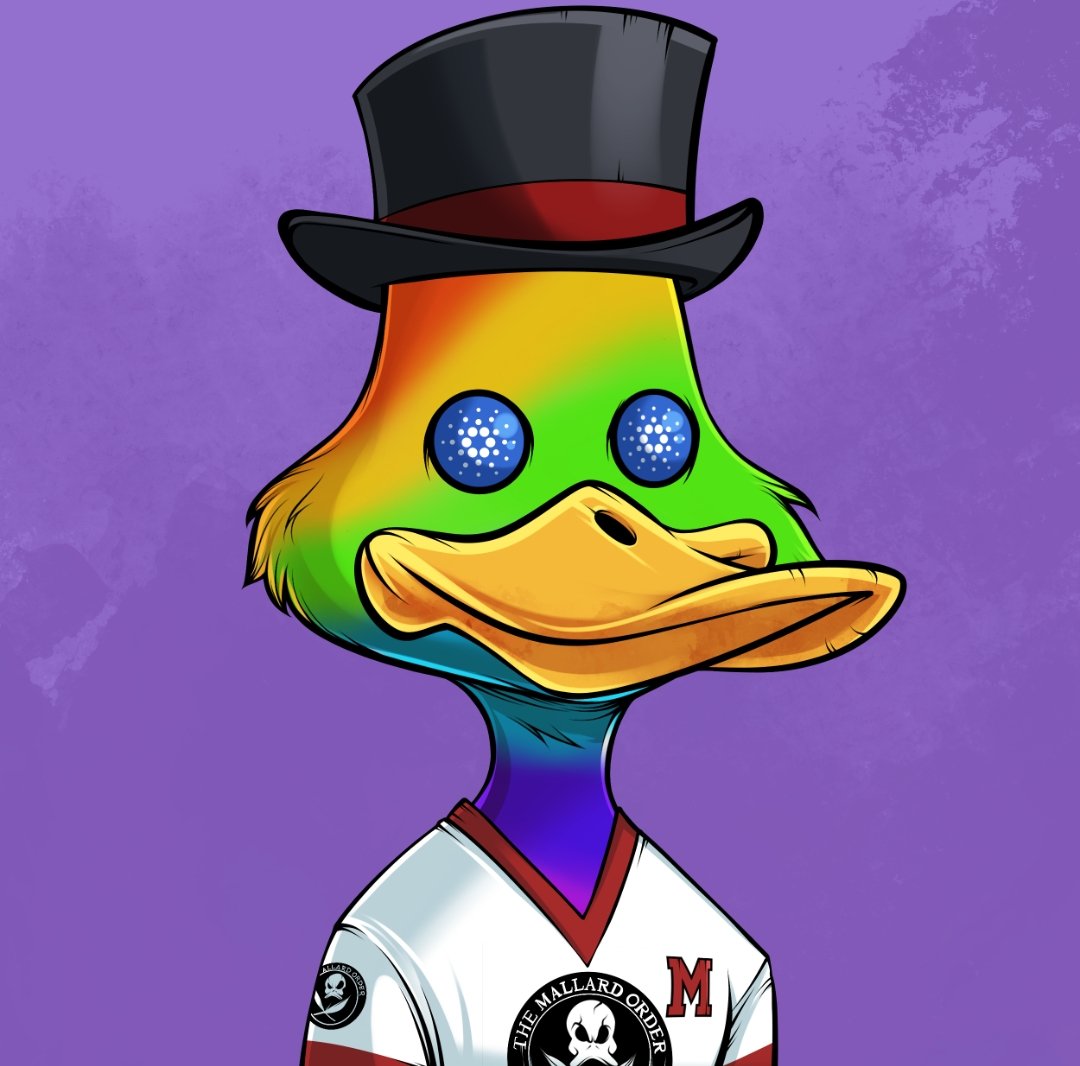 I'm finally part of the <a href="/MallardOrder/">The Mallard Order</a> and couldn't be happier ☺️
#CNFTCommunity #CNFT
Where's my quackfam? Anyone here?