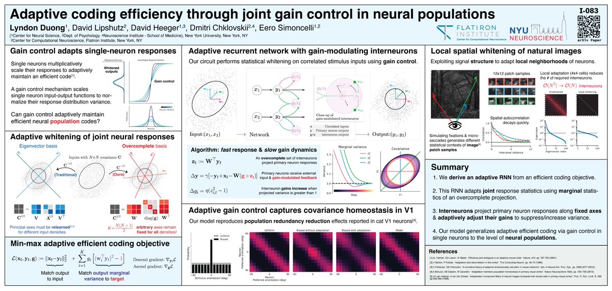 Come hear me talk about matrix decompositions, adaptive efficient coding, & gain control tonight at #cosyne2023 Poster 1-083! world-wide.org/cosyne-23/adap… @dlipshutz @chklovskii @EeroSimoncelli