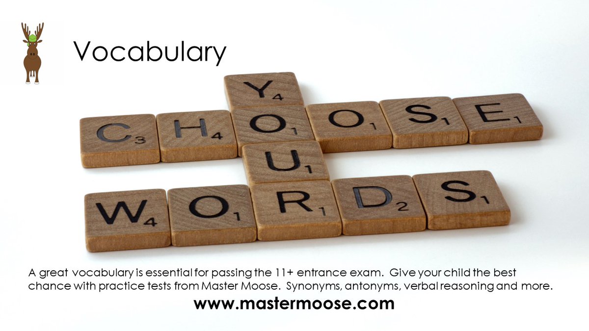 mastermoose.com/product/11-plu…