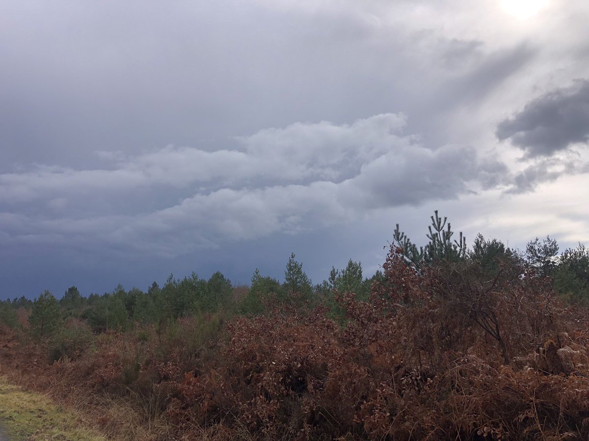 nicohayer's tweet image. Le retour d’un terrain un peu plus souple en Course d’Orientation @SUAPSPoitiers ⛈🌧 Malgré la pluie , les sourires sont là et les itinéraires deviennent intéressants 👏
Échanges riches à l’arrivée grâce à l’utilisation de #vikazimut 👍
#orienteering #cvec