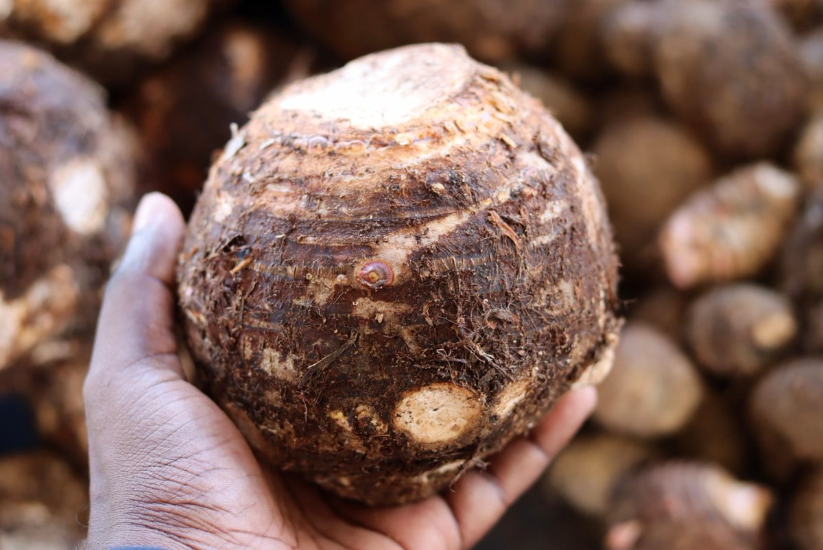 Luke Smith (@las_luke) on Twitter photo 