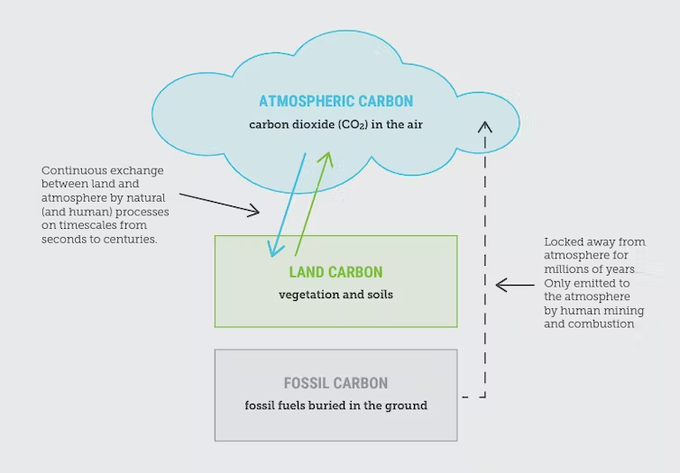 A nice explainer from <a href="/wtmpacific/">Dr Wesley Morgan</a> -> if you dig up carbon from deep underground, you can't claim that shoving it into trees on Earth's surface is a permanent solution to the problem you caused

theconversation.com/a-tonne-of-fos… <a href="/climatecouncil/">Climate Council</a>