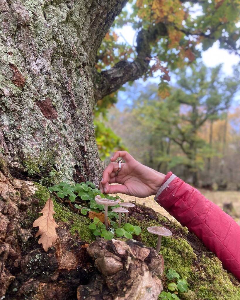 I know that my International Lady is used to being or doesn’t mind being fashionably late so in honour of that and a belated praise to two of the most amazing International Women in my life. … 
For foraging, for pausing, for being there, for knowing … instagr.am/p/CplLxuTrPDT/