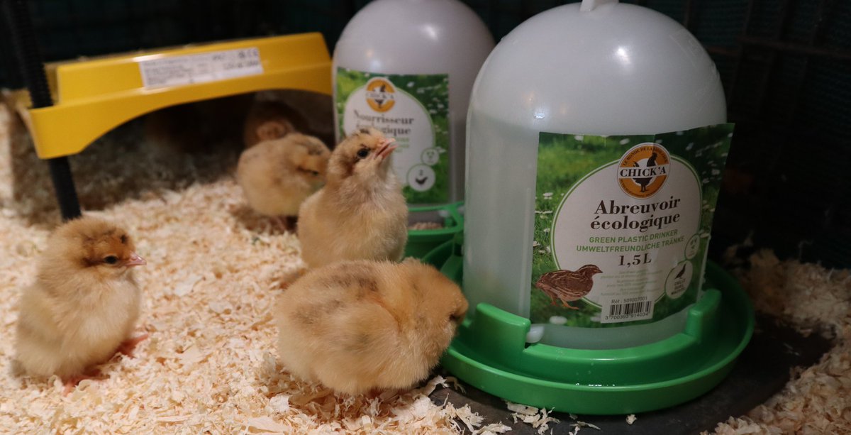 English Country Life tweet media