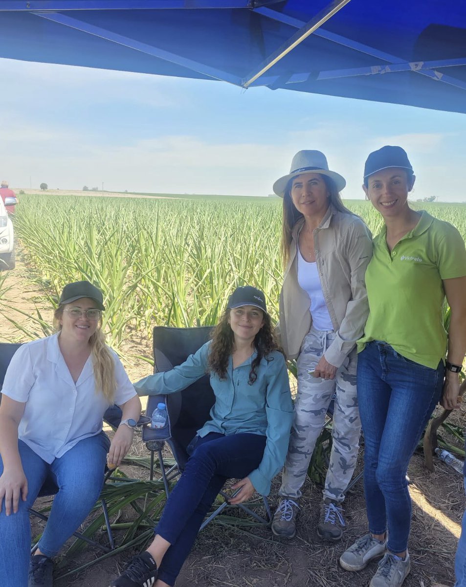Dani Giorgi (@danugiorgi) on Twitter photo Analizamos, evaluamos y utilizamos las herramientas que nos da #CropWise a salón y a campo 😰🔥junto a un grupo de asesores de la zona 🧑🏼🌾👩🏼🌾👨🏻🌾
Excelente intercambio 🙌🏻 <a href="/Syngenta_ar/">Syngenta Argentina</a> 🌱📱🙌🏻 Analizamos, evaluamos y utilizamos las herramientas que nos da #CropWise a salón y a campo 😰🔥junto a un grupo de asesores de la zona 🧑🏼🌾👩🏼🌾👨🏻🌾
Excelente intercambio 🙌🏻 <a href="/Syngenta_ar/">Syngenta Argentina</a> 🌱📱🙌🏻
