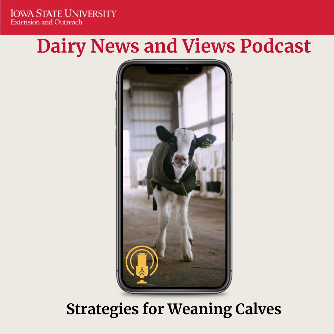 ISU Dairy Team tweet media