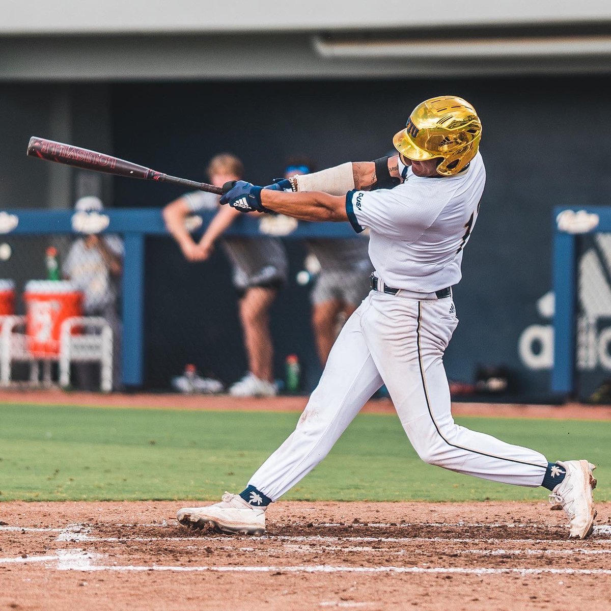 FIU OF <a href="/RikeyMosario/">Mike Rosario</a> has been on a tear recently! 😤

On his current 7-game hitting streak ⤵️

🔥 .392 BA (11-28)
🔥 3 doubles
🔥  1 triple
🔥  1 home run

#PawsUp