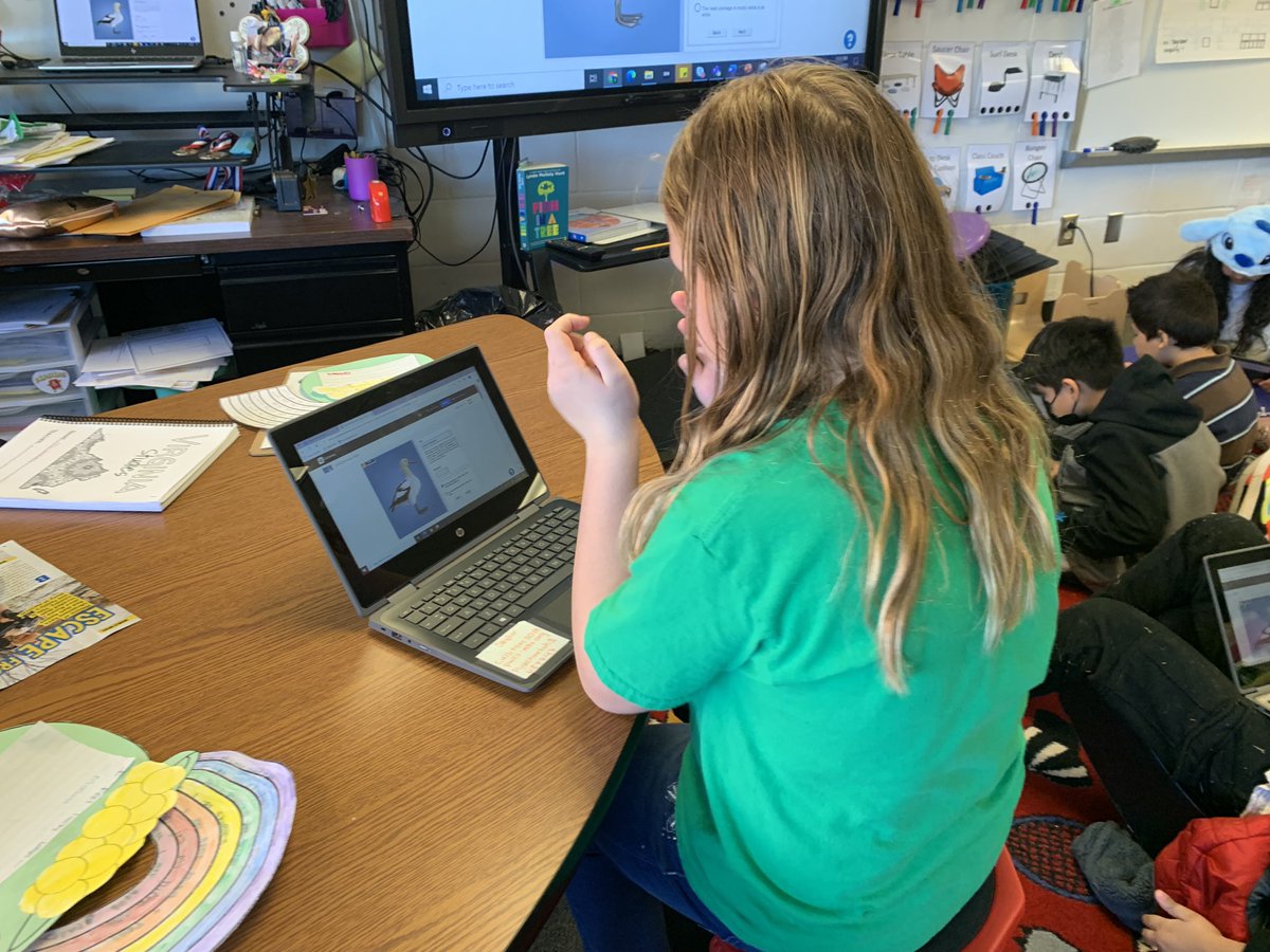 Reviewing dichotomous keys with Gizmos and partners