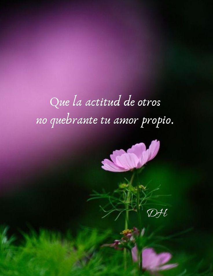 El amor propio es la clave 😊