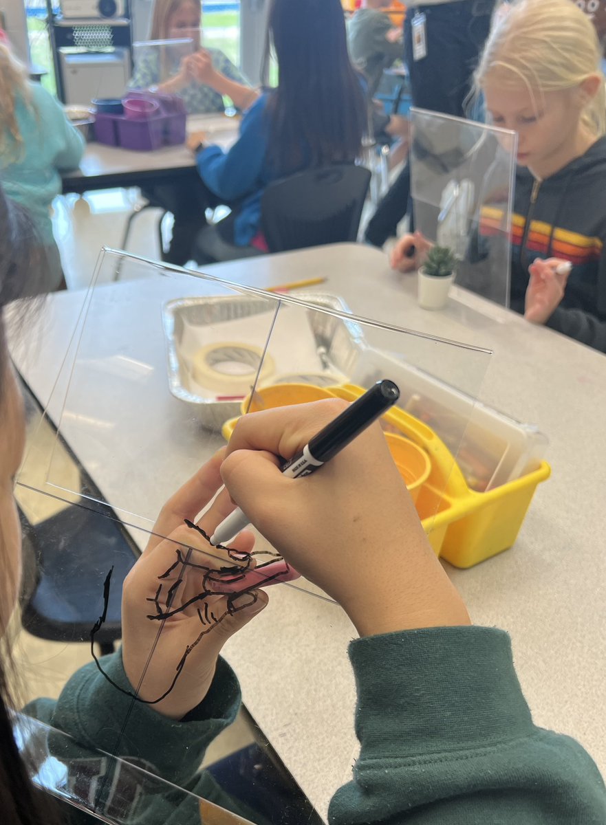 MrsSims7's tweet image. 5th Grade Artists are improving their eye/hand coordination and their drawing skills by doing contour drawings of their hands. They are doing such a great job!! @RiverRidgeElem