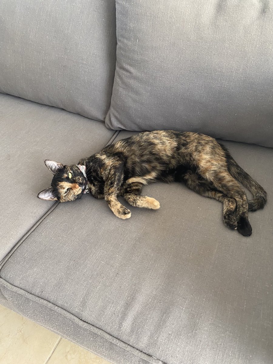 𝕞 𝕒 𝕣 tweet media