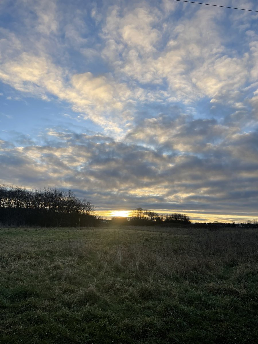 sekacyecats's tweet photo. Starting a thread of pics I’ve taken on Rimrose just to showcase how beautiful it is (I’ll throw in the occasional dog pic too 🐶) and to try and help raise awareness of the dual carriageway they are trying build through the middle of it 💔#saverimrose @saverimrose https://t.co/G62RMSfk1U