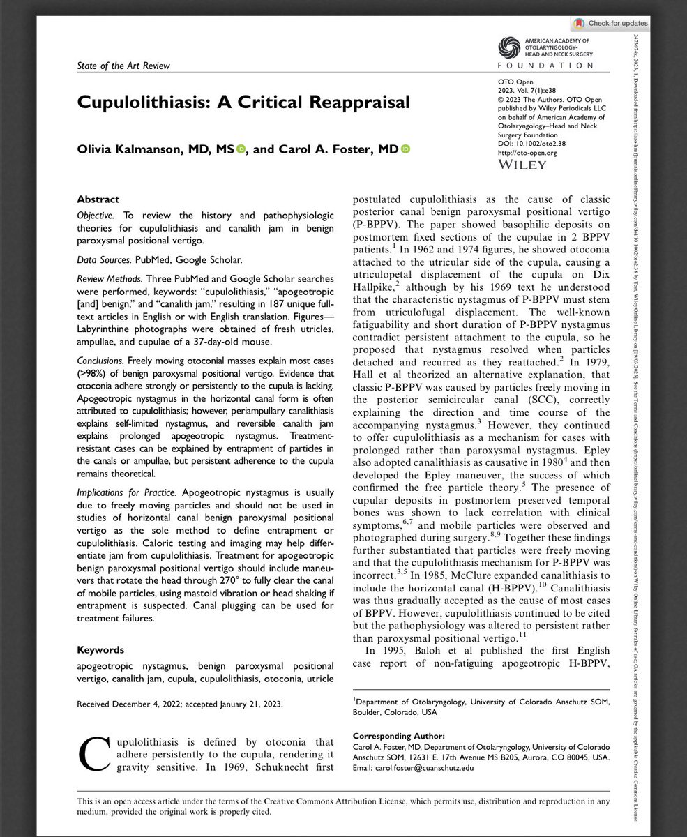 Lisa Burrows @lisbteamdizzy.bsky.social tweet media