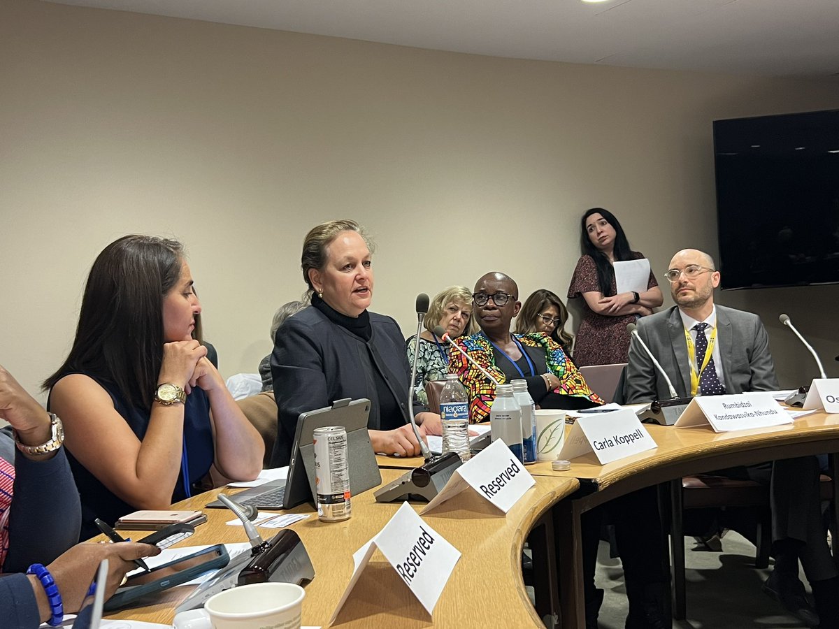 We know that #peace accords are 64% more likely to work when #women are included in negotiations, says @CarlaKoppell @giwps, calling for decision & peace makers to recognize the evidence & enforce #inclusion mechanisms. #CSW #CSW67 #CSW #gendercohort #SummitforDemocracy #WPS