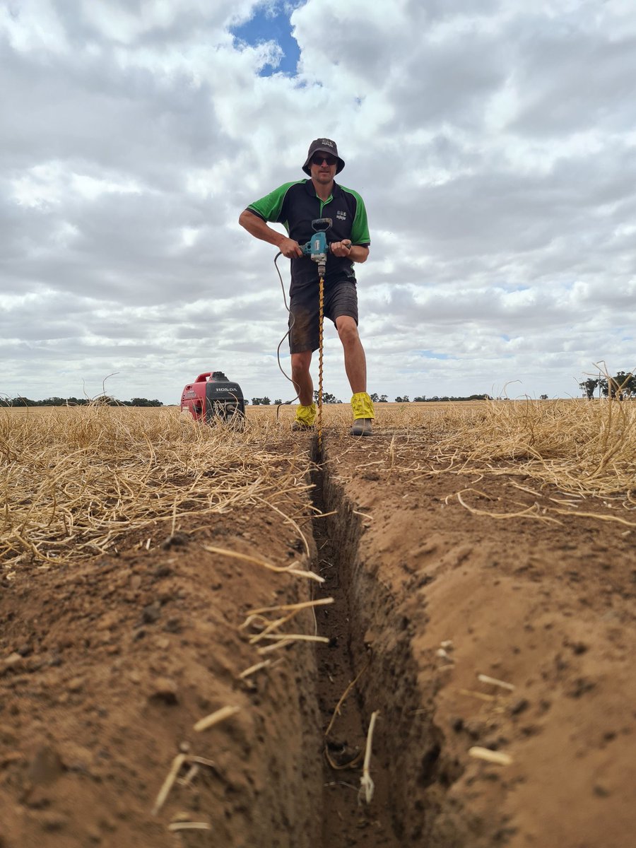 Leighton Wilksch tweet media