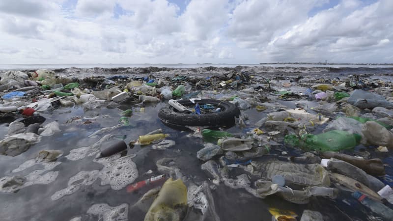 BFMTV's tweet photo. "Des niveaux sans précédent": nouveau record de la pollution plastique des océans, selon une étude
https://t.co/QcetN10xsQ https://t.co/Rqcl2jHJRM