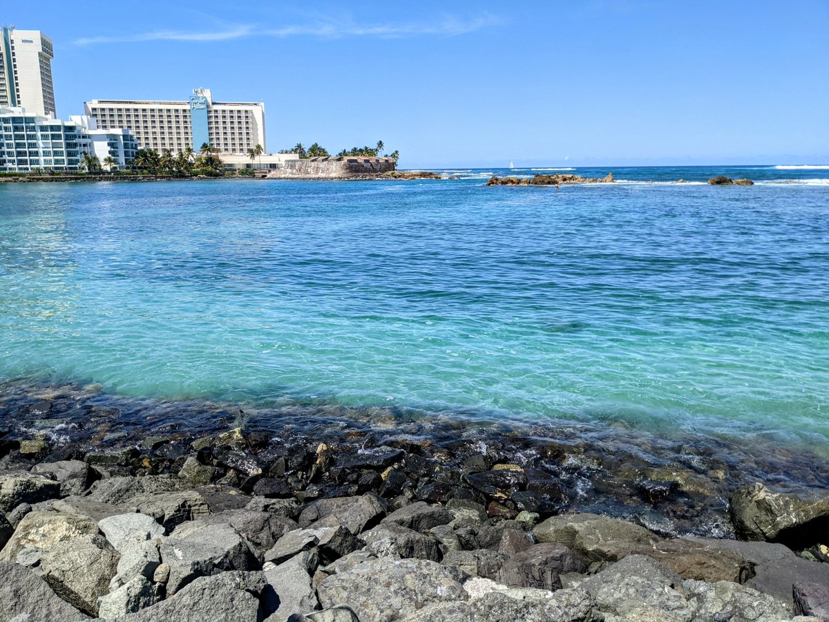 RhondaSharrah's tweet photo. Not too bad for a work thing #RenSA23 https://t.co/BdRlBxOzmT