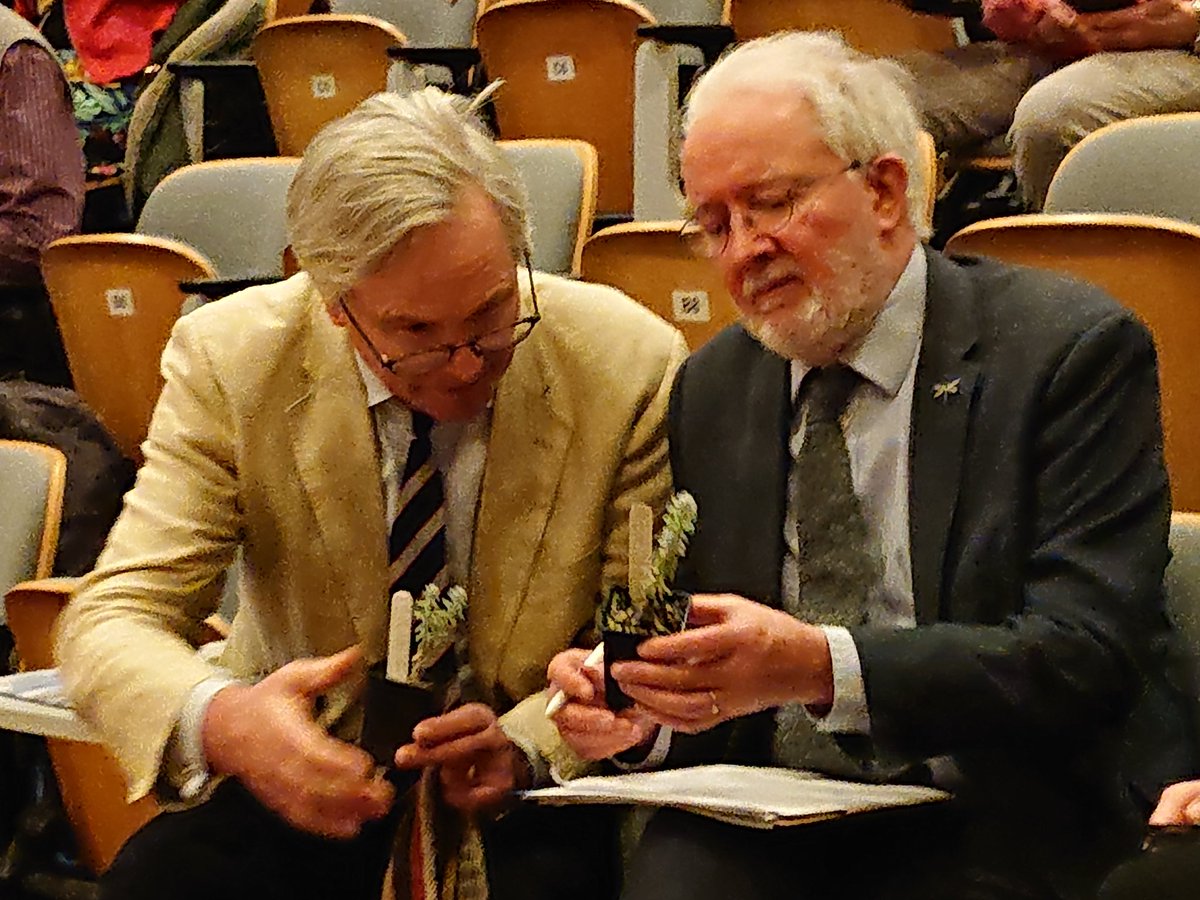 MichelineShSk's tweet image. Auditorium filling w @BSBIbotany @BSBI_Ireland members from far &amp;amp; wide for launch of #PlantAtlas2020 by Minister @noonan_malcolm. Director Nat Botanic Gardens Glasnevin Matthew Jebb w Minister &amp;amp; cottonweed Achillea maritima 1 of our rarest wild plants in Atlas &amp;amp;under conservation