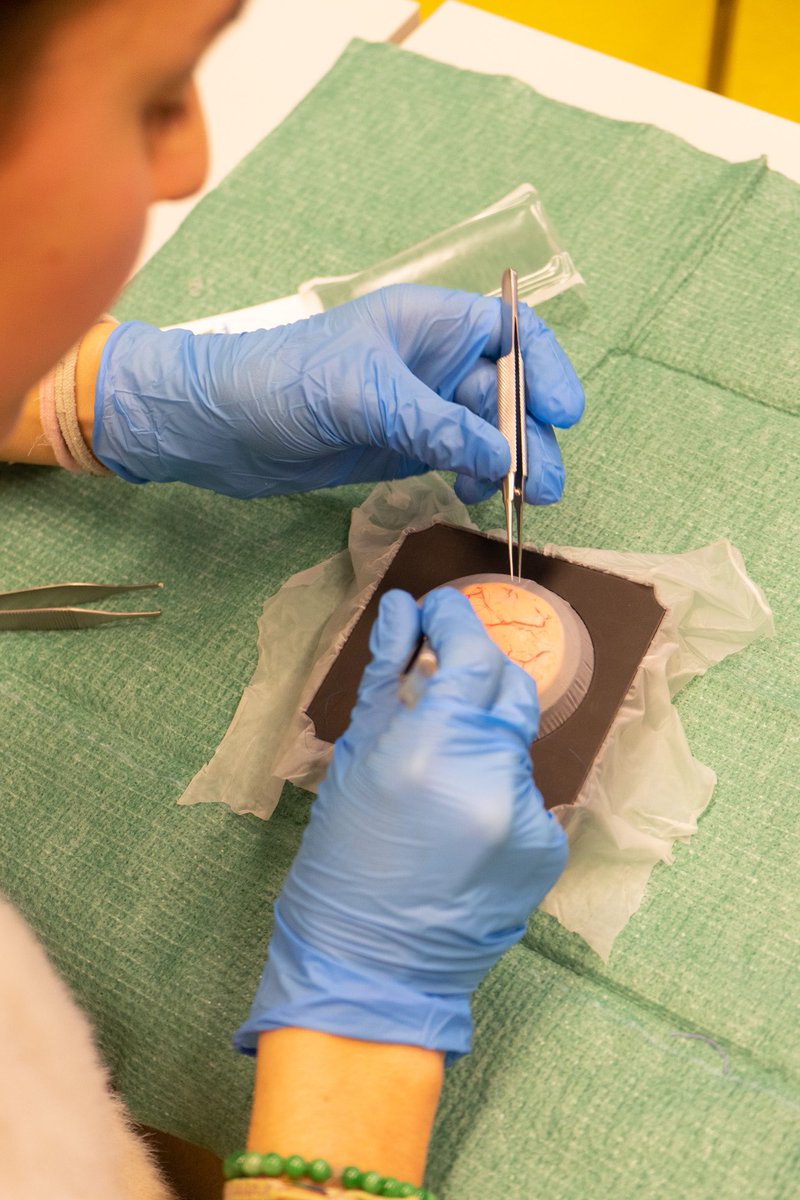 Gimbernat Surgical Society (@aqgimbernat) on Twitter photo Gracias al equipo en <a href="/LaVanguardia/">La Vanguardia</a> por dar visibilidad a nuestro proyecto, ¡Qué ilusión más grande!😊
Barcelona acoge un congreso internacional para estudiantes de medicina lavanguardia.com/vida/20230215/… Gracias al equipo en <a href="/LaVanguardia/">La Vanguardia</a> por dar visibilidad a nuestro proyecto, ¡Qué ilusión más grande!😊
Barcelona acoge un congreso internacional para estudiantes de medicina lavanguardia.com/vida/20230215/…