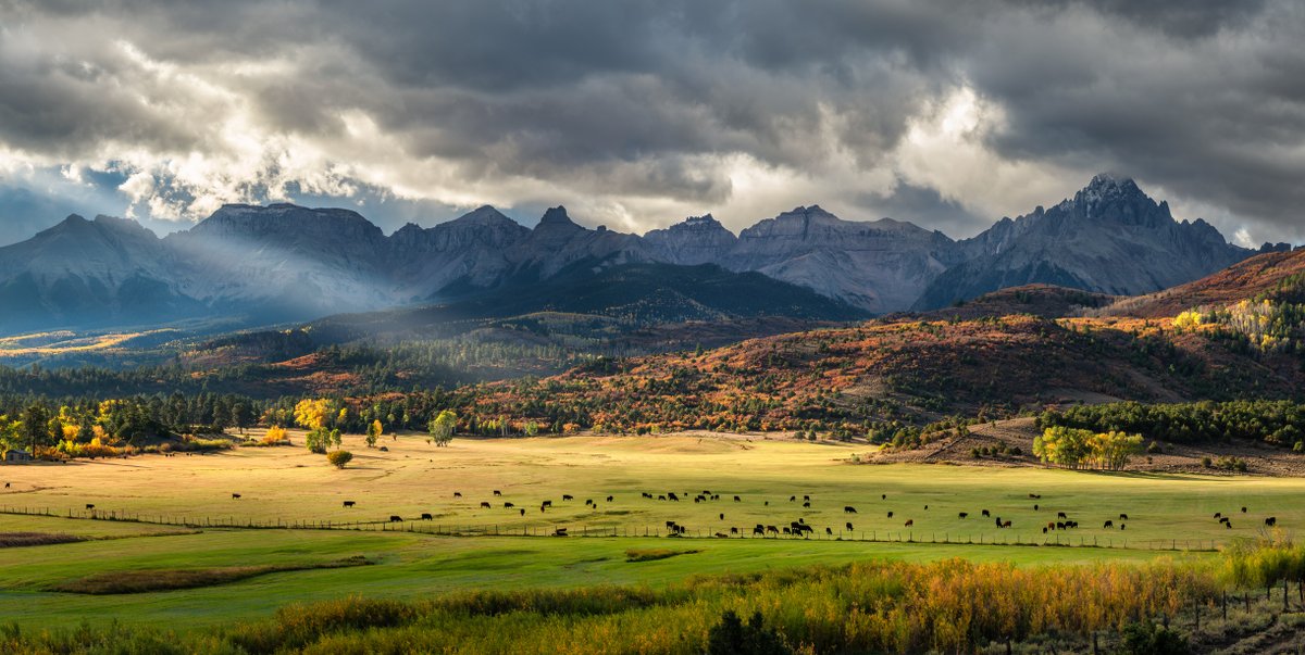 pursuitoutside's tweet photo. Announcing Pursuit Properties, a real estate product to help investors own and operate incredible ranches. Sign up to learn how you can enjoy properties with world-class recreation that produce income without the property management hassle. 
https://t.co/wnvCjO496V https://t.co/xkIOSIeLEZ