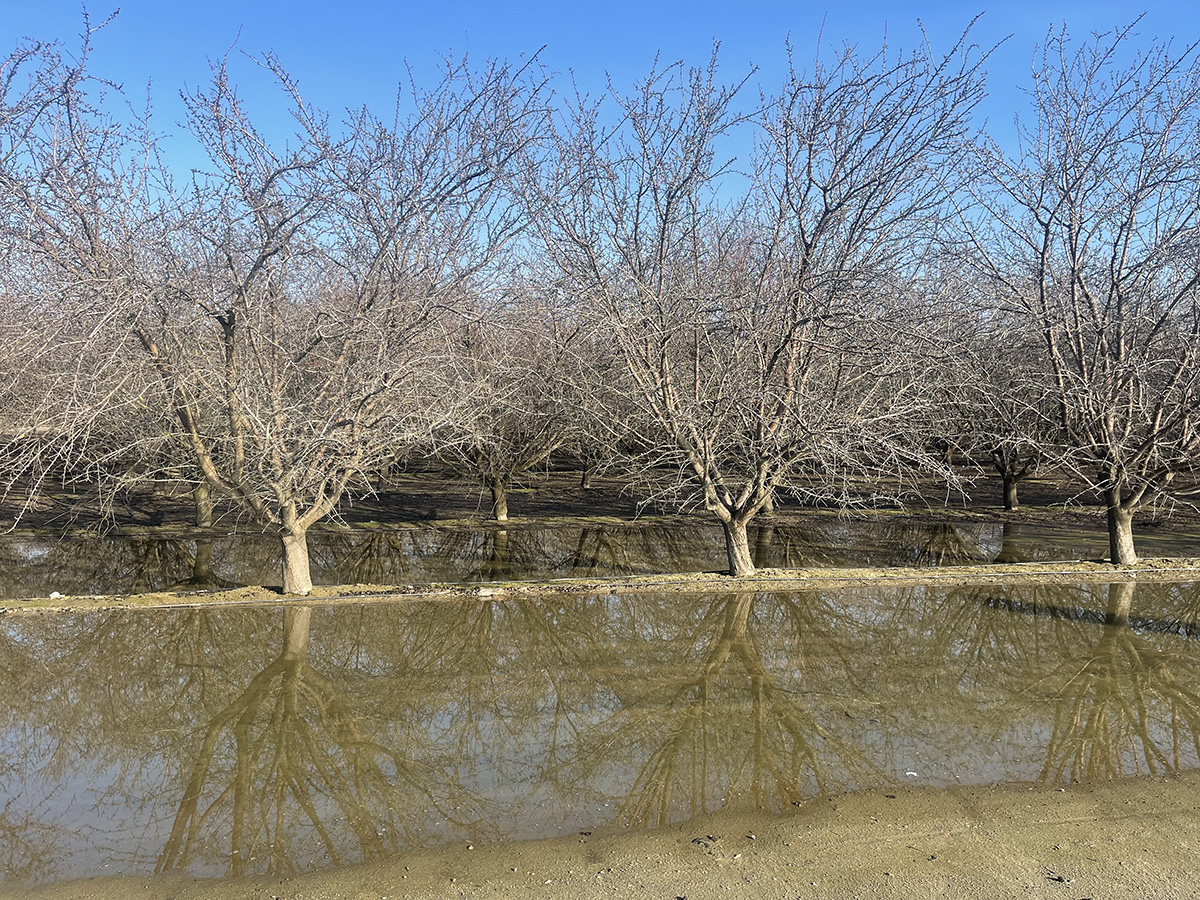 hm_holloway's tweet photo. With more #rain on the horizon, water infiltration issues are top mind for our #growers. 

Watch our latest "From the Field" episode to see how to resolve ponding issues w/ Dihydrate #Gypsum. 

https://t.co/L6MLuhR1Ib

#agriculture #ag #soilamendments #ponding #waterissues #soil https://t.co/nWvf4Cvyim