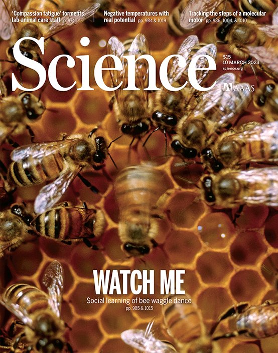 UCSD BioSciences (@ucsdbiosciences) on Twitter photo Let's dance! Featured on the cover of this week's <a href="/ScienceMagazine/">Science Magazine</a>, @UCSandiego Biological Sciences Professor James Nieh and colleagues report the discovery of social learning in the honey bee's "waggle dance." go.ucsd.edu/3FbYxkq Let's dance! Featured on the cover of this week's <a href="/ScienceMagazine/">Science Magazine</a>, @UCSandiego Biological Sciences Professor James Nieh and colleagues report the discovery of social learning in the honey bee's "waggle dance." go.ucsd.edu/3FbYxkq
