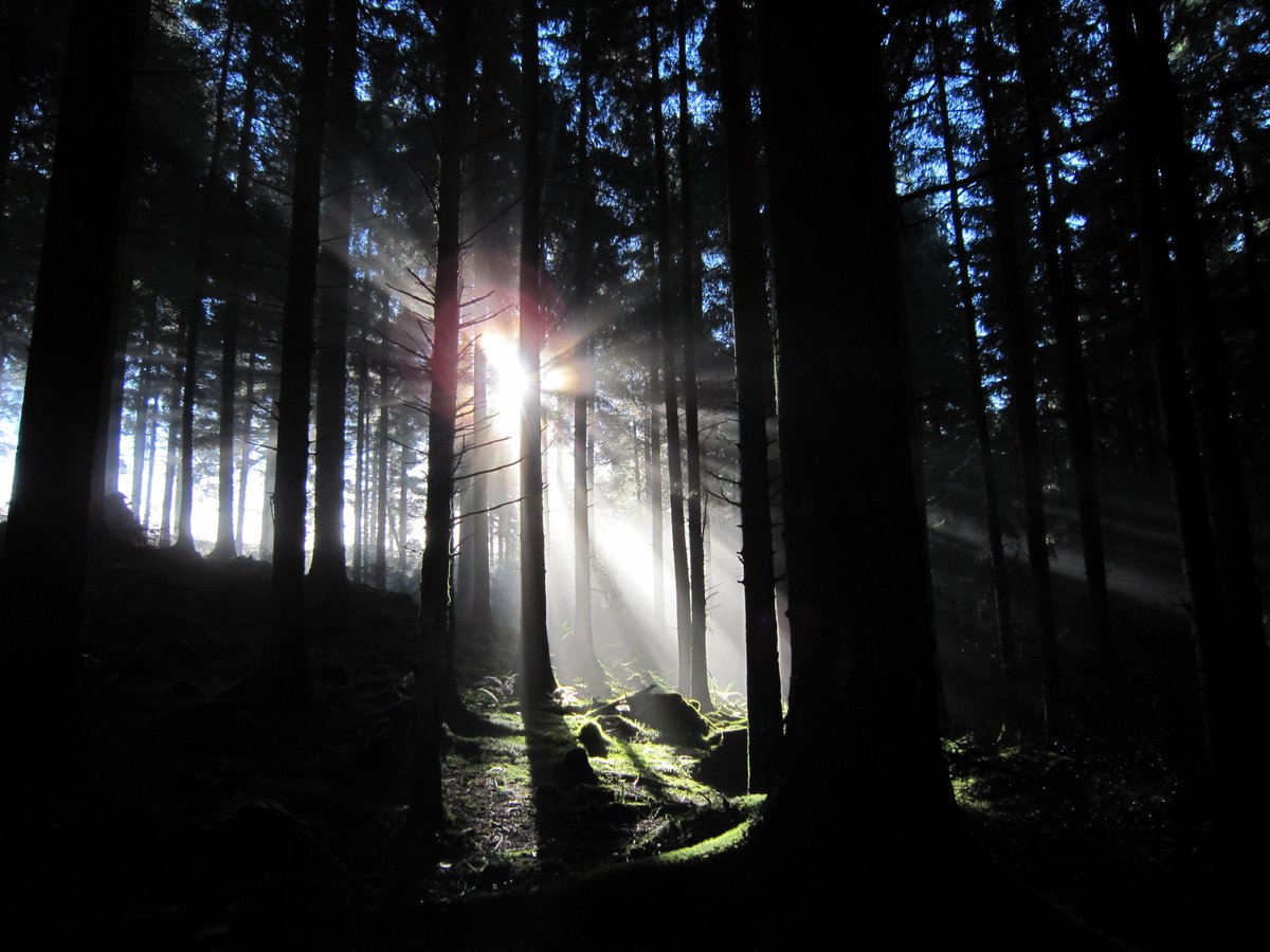 International Union of Forest Research Organizations (IUFRO) 2024 World Congress, Stockholm; June 23-29 2024. There is a radioecology related session; the abstract call closes 2 June, 2023 radioecology-exchange.org/news-and-media…