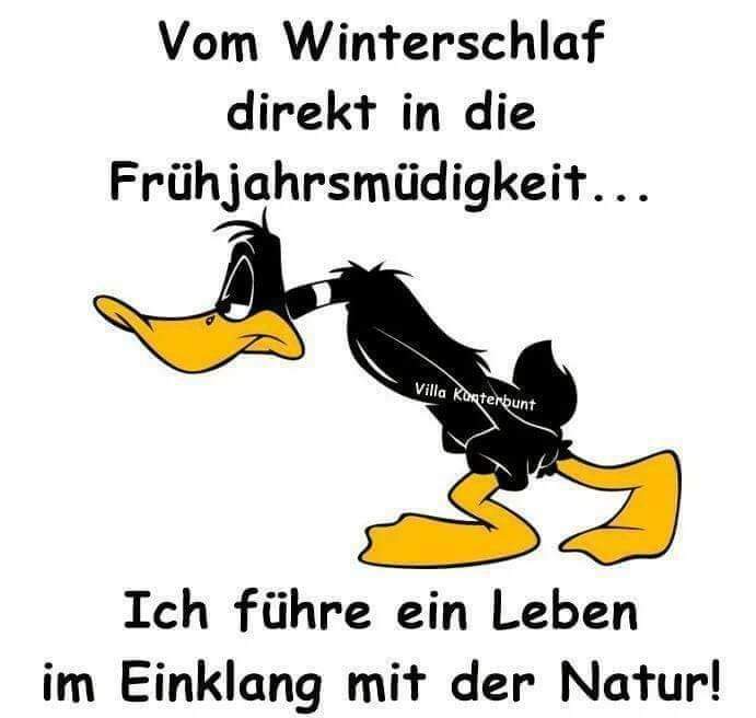 Knuspergemeinde (@knuspergemeinde) on Twitter photo 