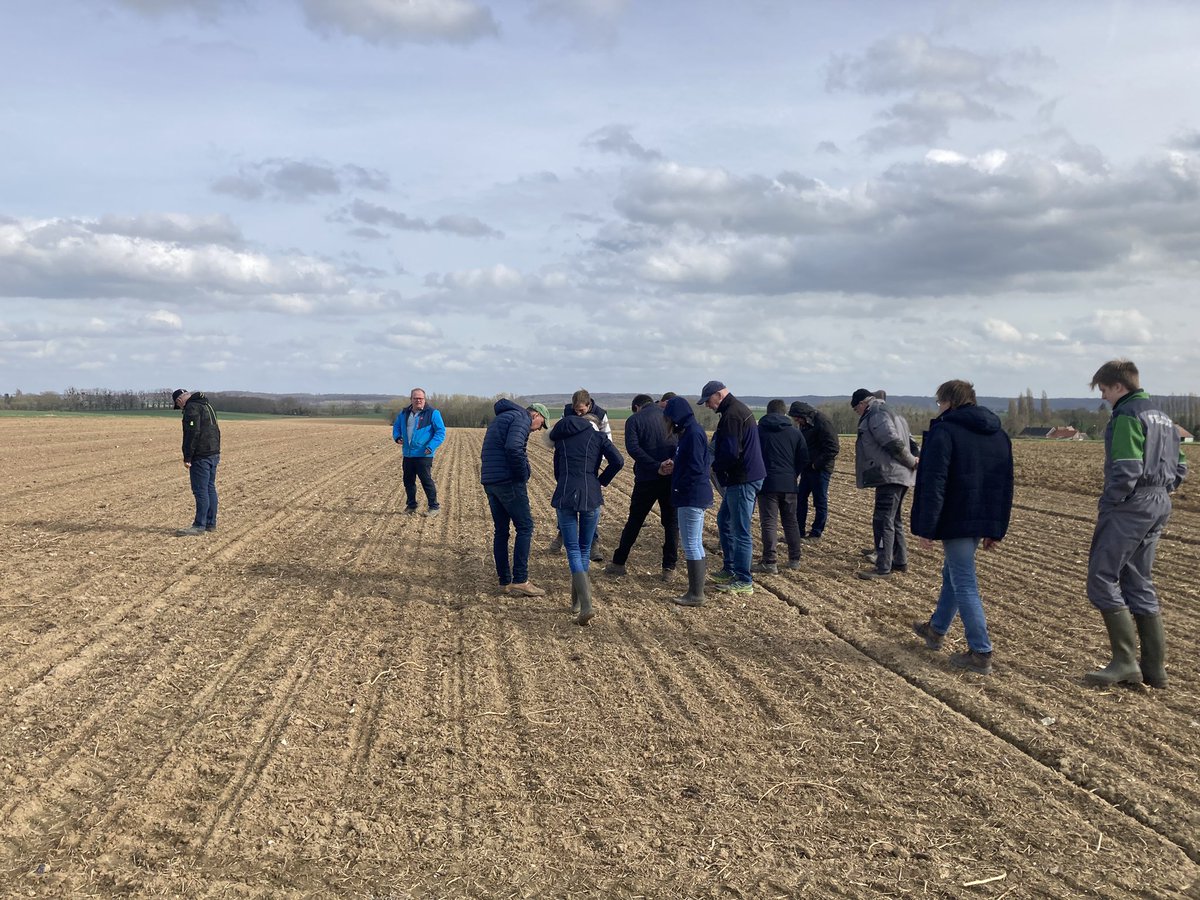 Guillaume LE POGAM 🪱🐝🐞🌾🌻🌽 tweet media