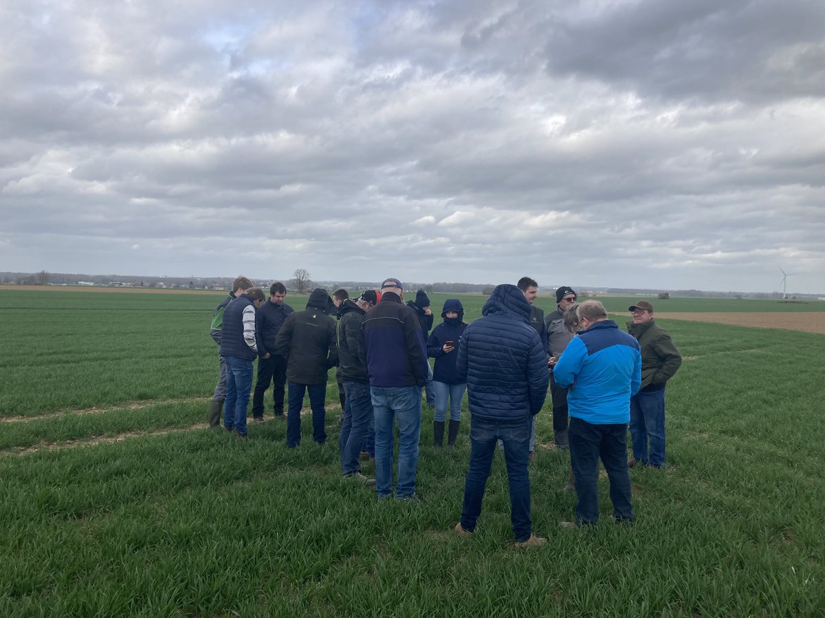 Guillaume LE POGAM 🪱🐝🐞🌾🌻🌽 tweet media