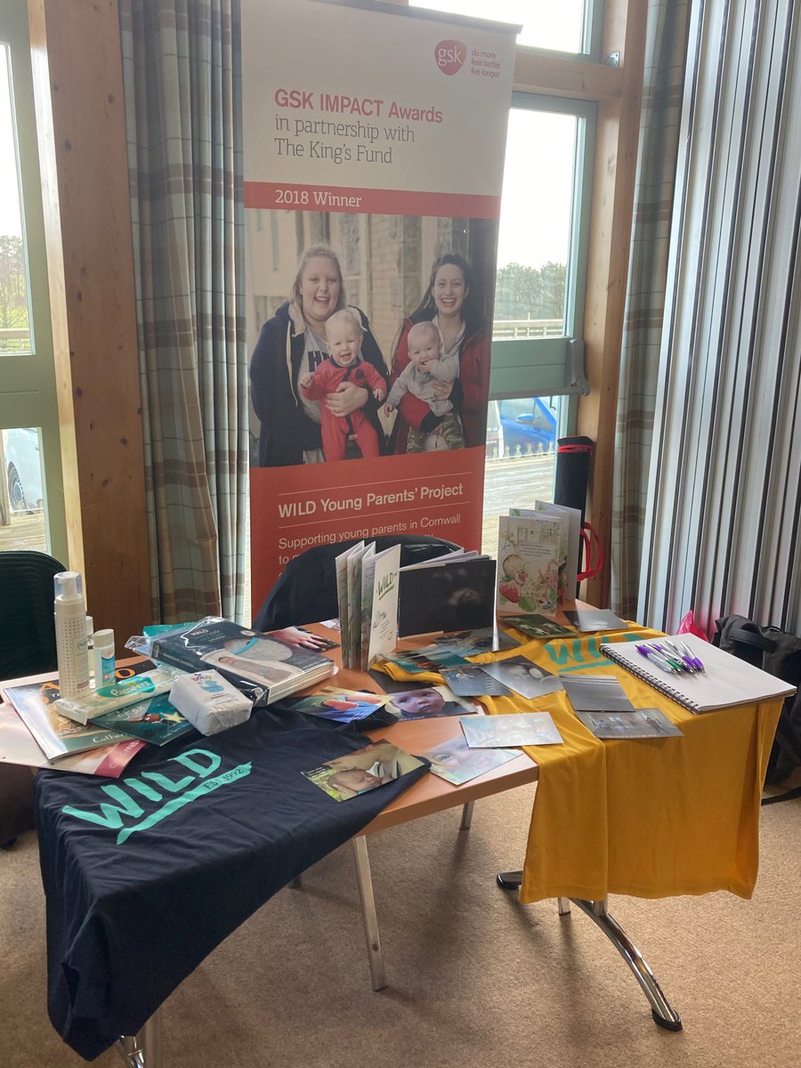 Joining the EY conversation with <a href="/CornwallCouncil/">@cornwallcouncil</a> <a href="/suzannezeedyk/">Suzanne Zeedyk</a>