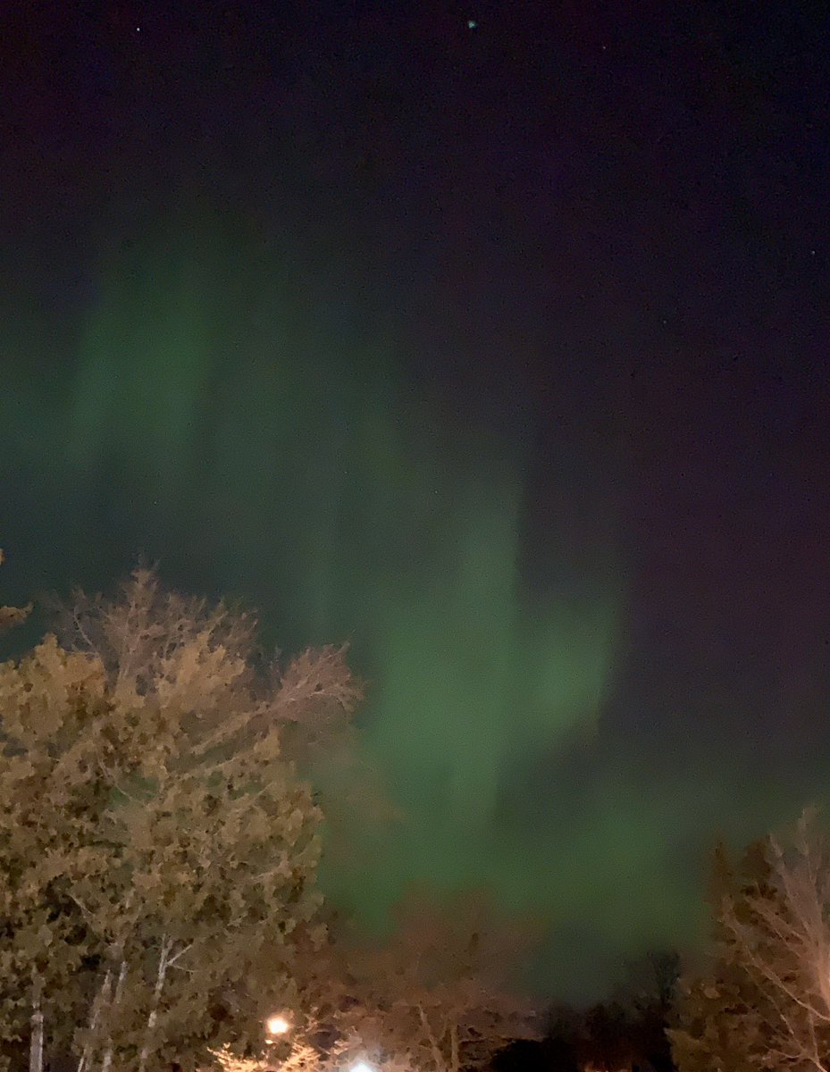 Kelly Tooley tweet media