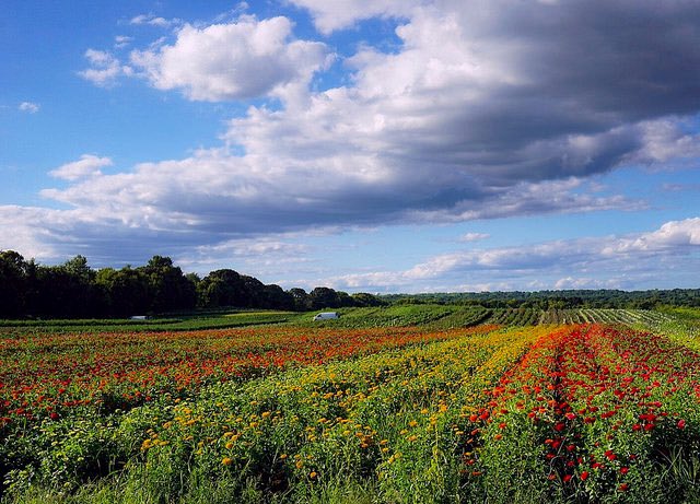 Post a picture of some landscape from a place where you've been, where the main requirement is that you NOT appear in it. Just a picture, no description. 

Lets travel virtually around the world.