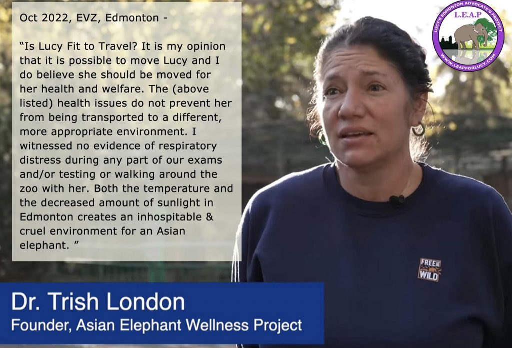 LEAP 💜 ❤️🐘🇨🇦 tweet media