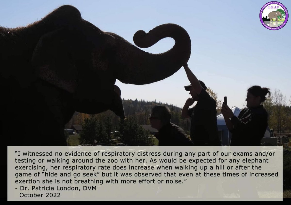 Dear <a href="/AmarjeetSohiYEG/">Amarjeet Sohi</a> <a href="/CityofEdmonton/">City of Edmonton</a> 
Leaps position is clear #Lucy needs to move now and we agree with Dr Londons thoughts about moving Lucy.
To delay any longer will put her at more risk, she has waited too long as it is.
It’s clear the zoo has never met her needs #relocatenow