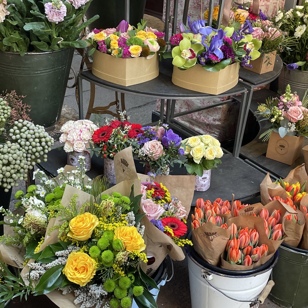 need to listen to jimin's album asap!! in the meantime, here are some flowers for him