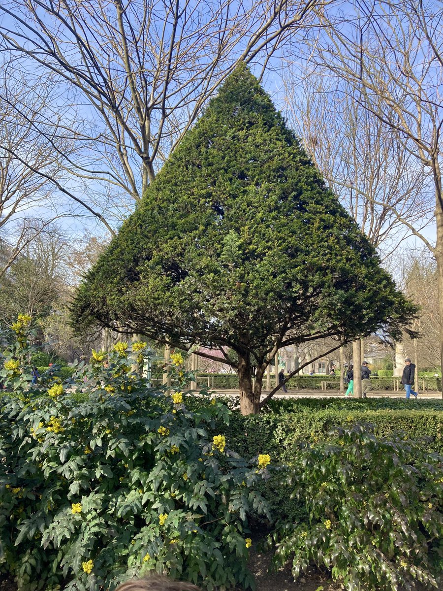 BFleurot's tweet photo. Un havre de paix raffinรฉ au Jardin du Luxembourg .. Univers poรฉtique , une parenthรจse enchantรฉe qui fait du bien ๐จ๐ค๐ค๐ฒ๐ผ๐ผ๐ผ https://t.co/M2knbDquq1