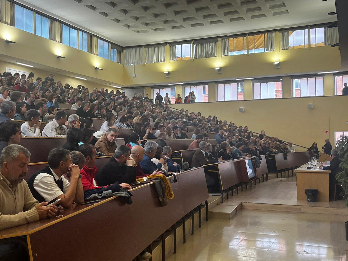 Esther del Campo tweet media